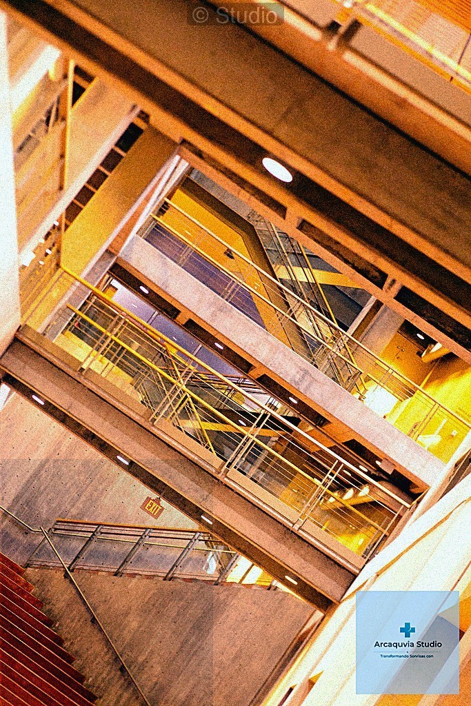 Blanqueamiento Dental con Componentes Naturales