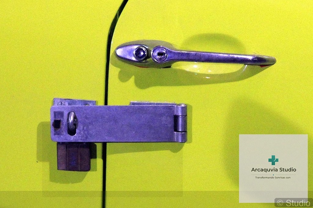 Odontopediatría con Perspectiva Holística